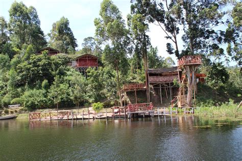 bamboo ecotours|All Tours & Trips by Bamboo Ecotours in 2024/2025 .